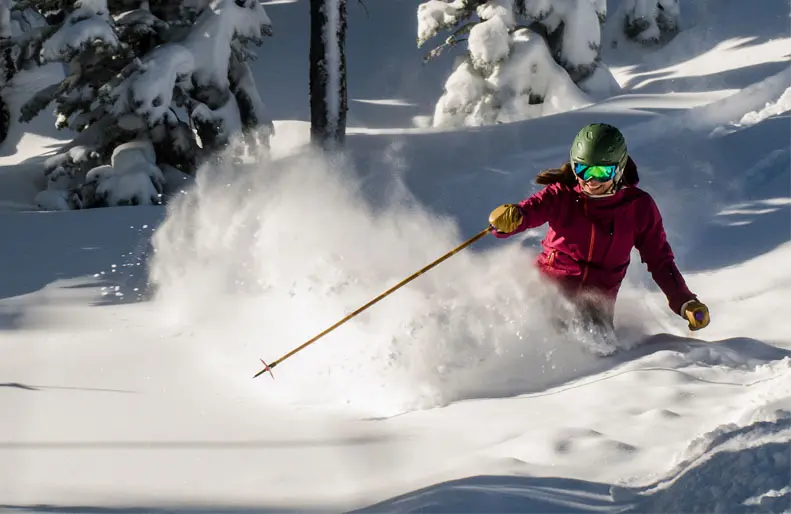 adult skier coming down mountain