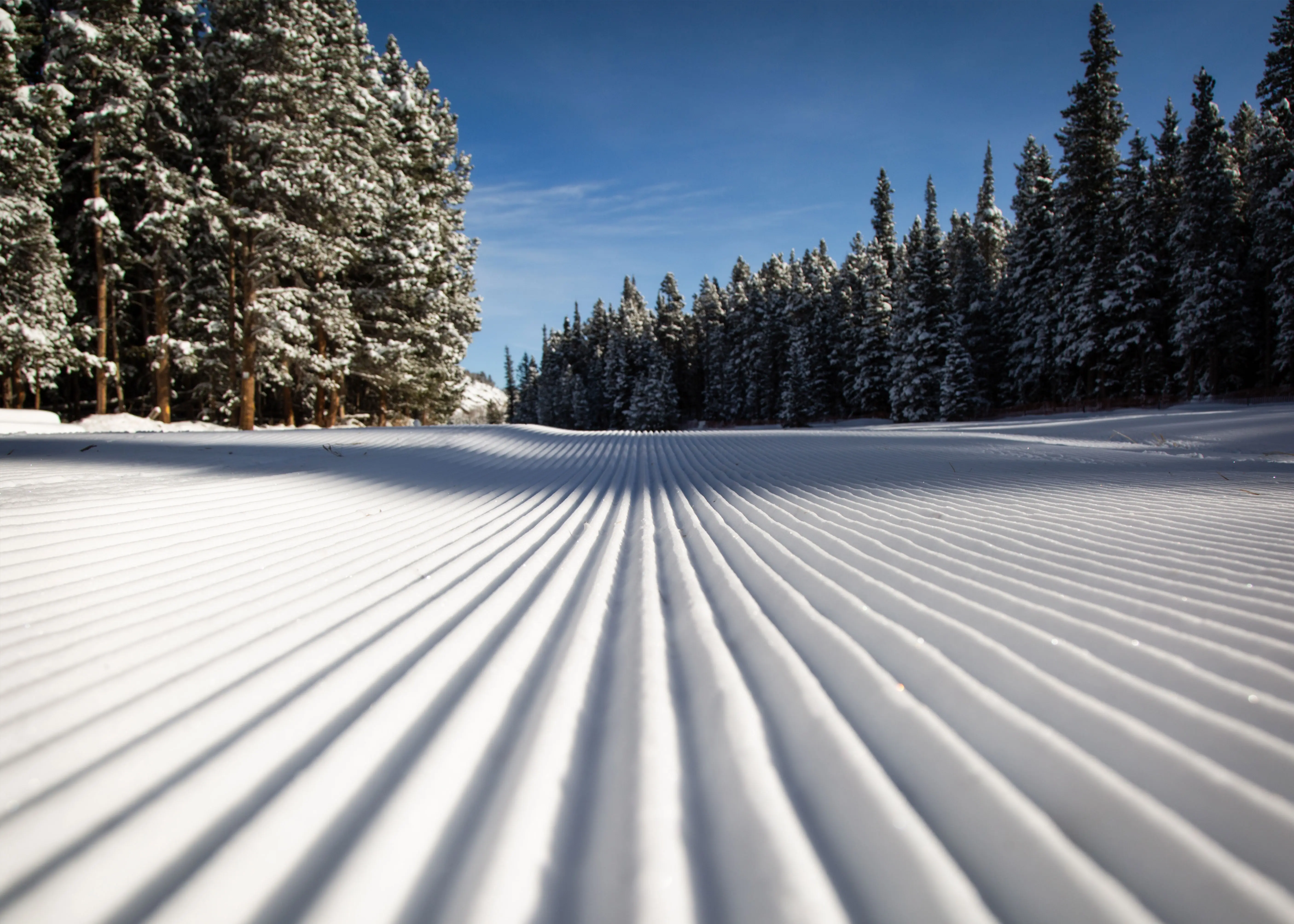 close up shot of groomed nordic trail